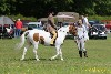 thornton-le-dale-gala showclass7acharity25-5-20053